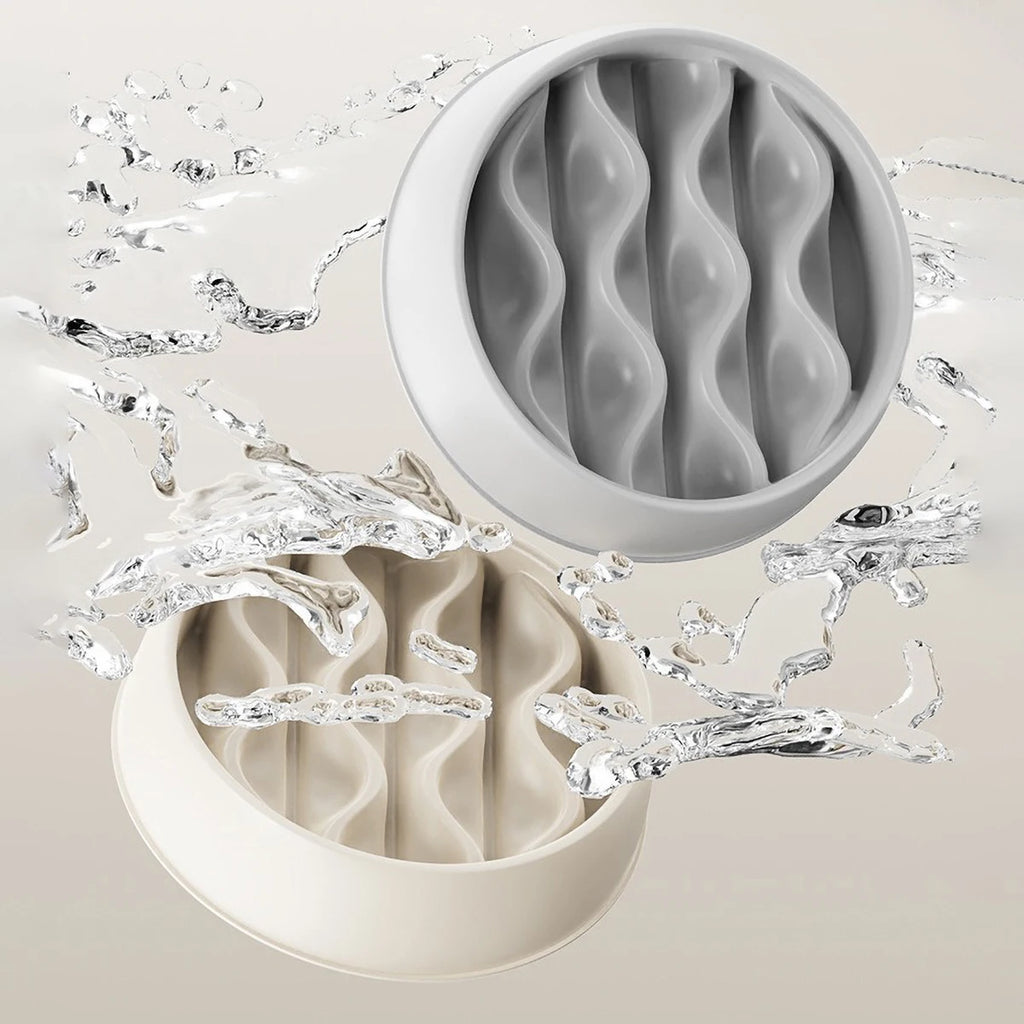Slow Feeding Bowl