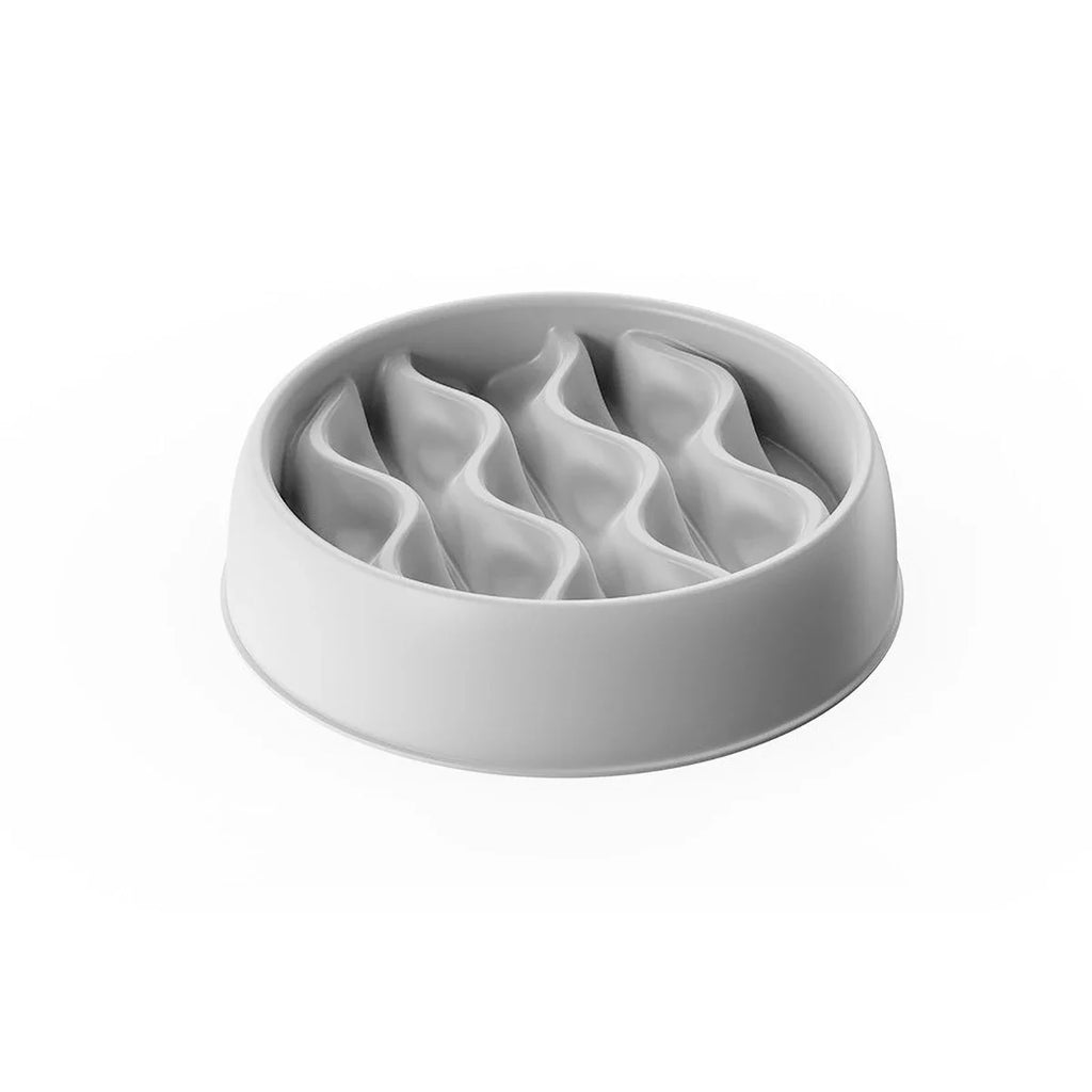 Slow Feeding Bowl