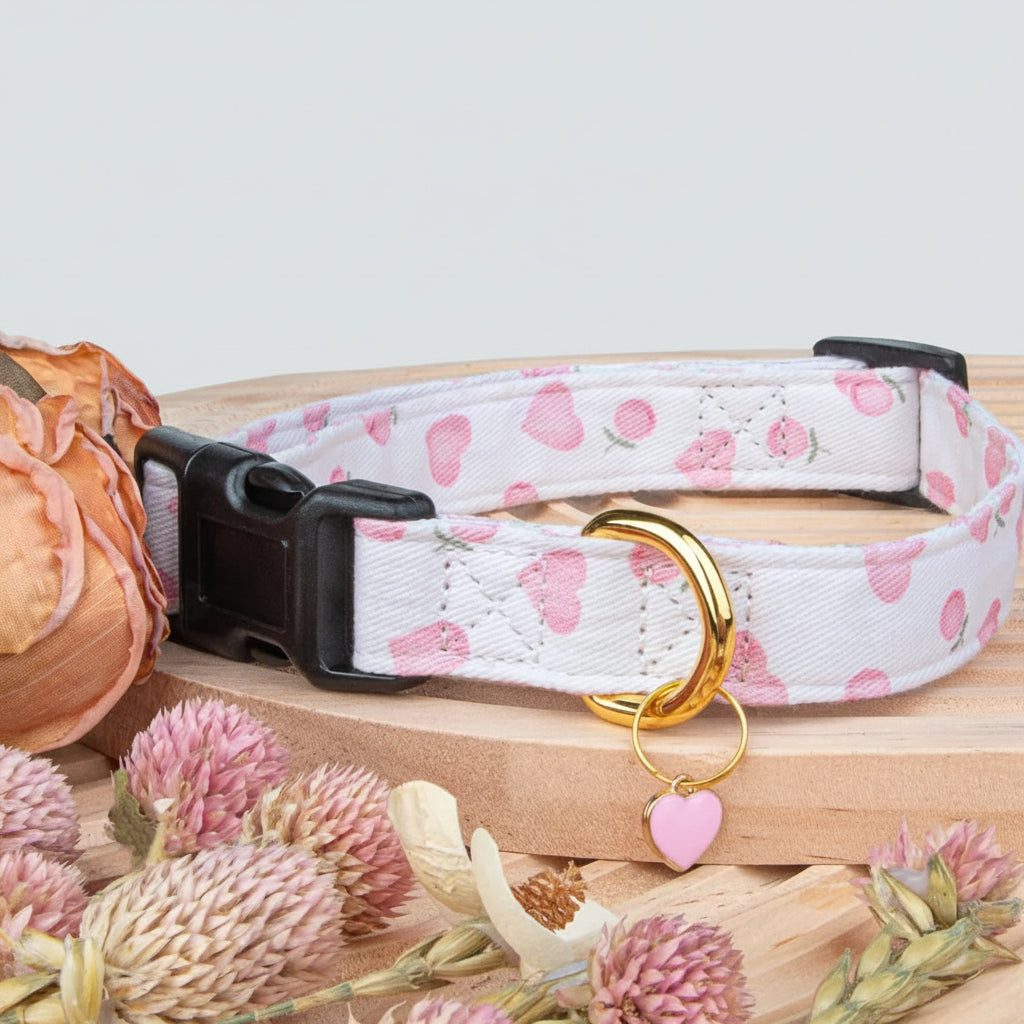 Dog Collar