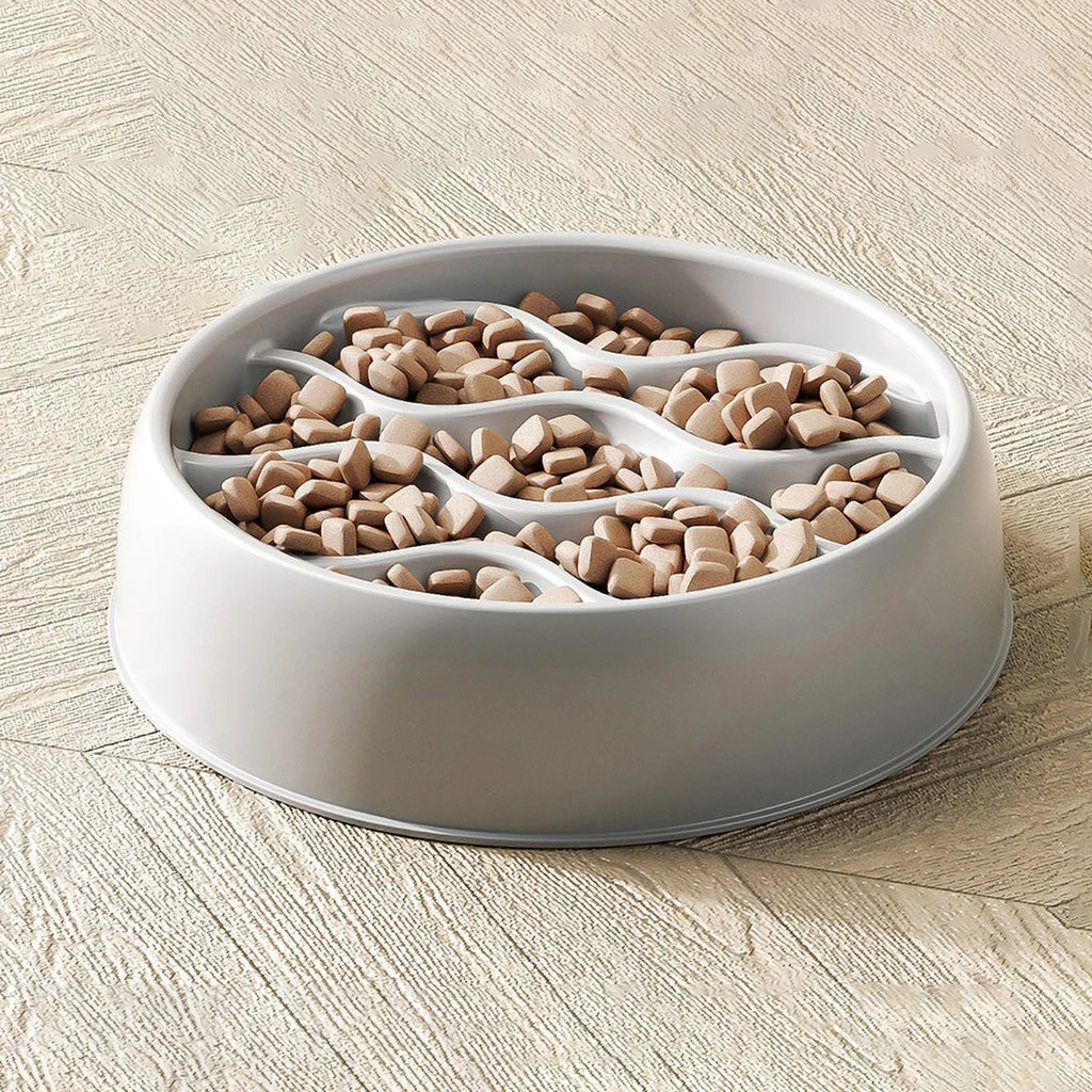 Slow Feeding Bowl