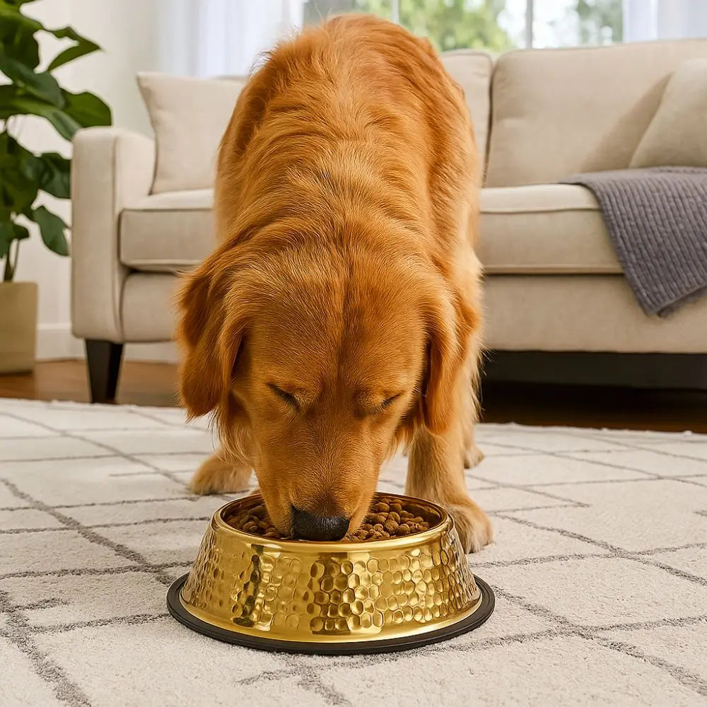 Gold Plated Stainless Steel Pet Feeding Bowl