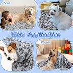 Pet Blanket