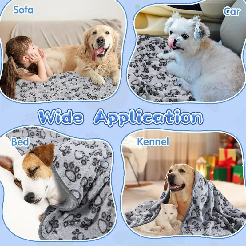 Pet Blanket