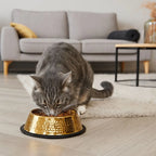 Gold Plated Stainless Steel Pet Bowl