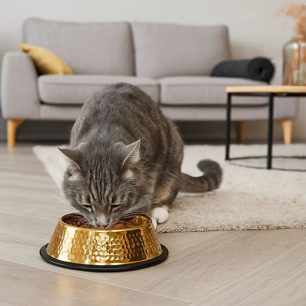 Gold Plated Stainless Steel Pet Feeding Bowl