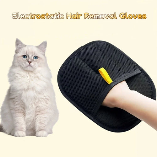 Glove Pet Hair Remover