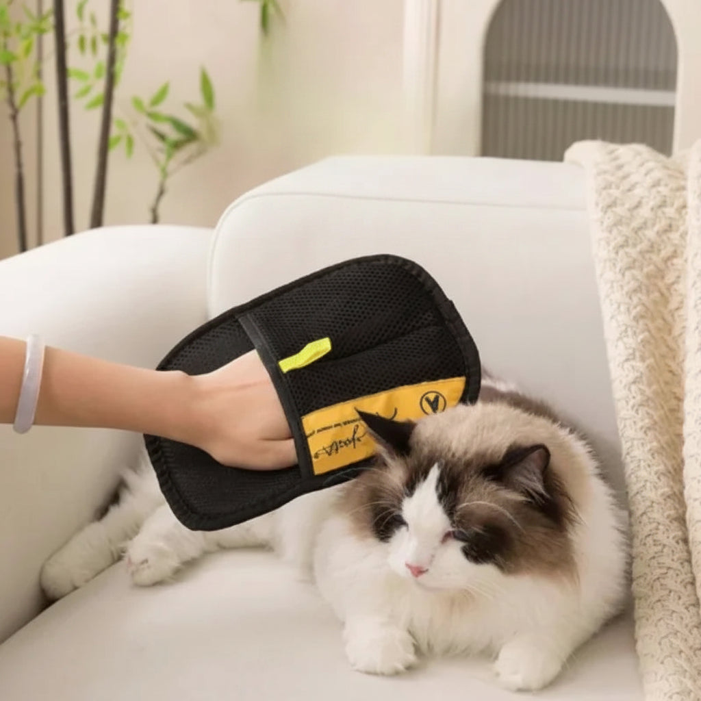 Glove Pet Hair Remover